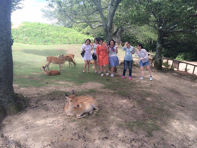 10579138_334025333431346_1980114231_n[1]