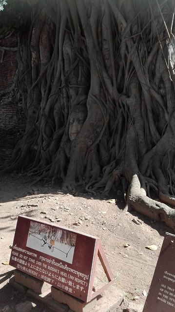 15781671_1151179871664417_7467998702698951972_n