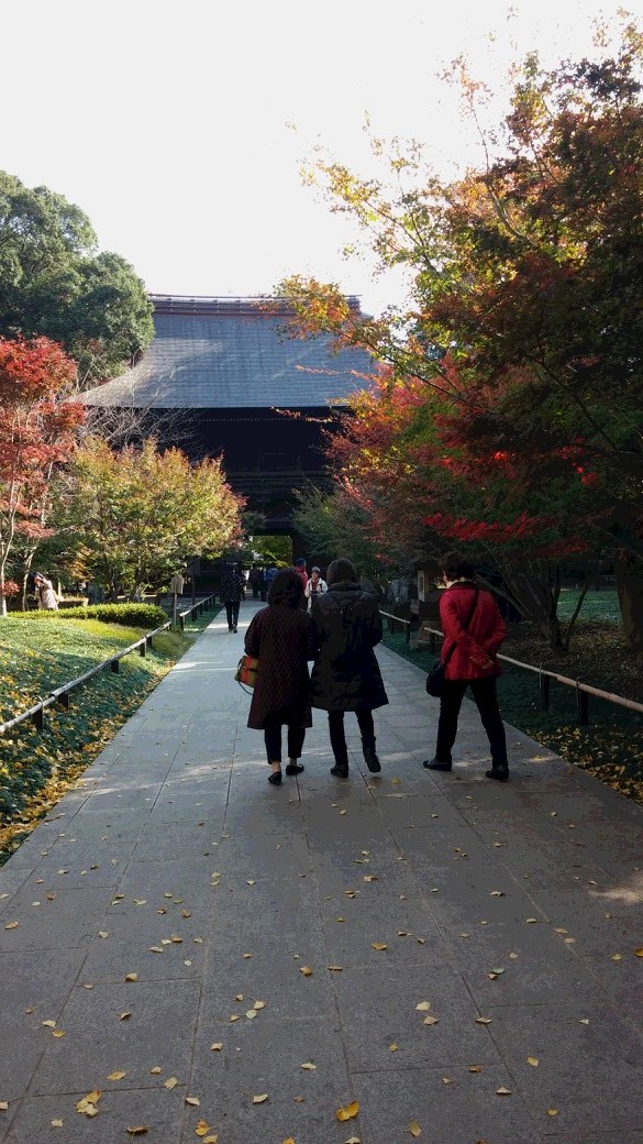東京松園会九品寺_(1)