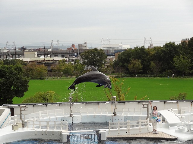 京都水族館_(2)