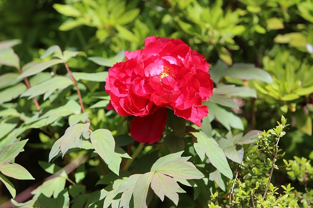 1R8A8358