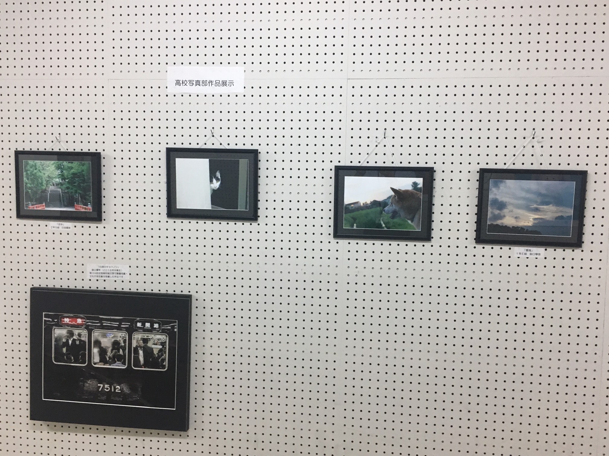 image0[2]